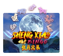 Sheng Xiao Bingo - MASURAPLAY77