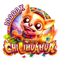 CHILIHUAHUA - MASURAPLAY77