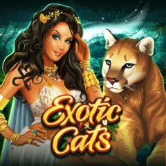Exotic Cats - MASURAPLAY77