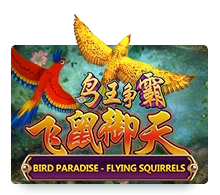 Bird Paradise - MASURAPLAY77