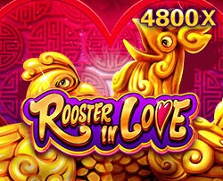 Rooster In Love - MASURAPLAY77