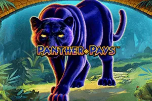 Panther Pays - MASURAPLAY77