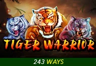 Spadegaming : Tiger Warrior - MASURAPLAY77