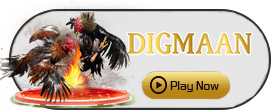 Digman - MASURAPLAY77