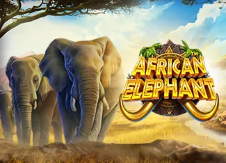 African Elephant - MASURAPLAY77